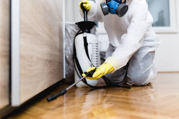 Best Wasp Removal Services  in Lake Royale, NC