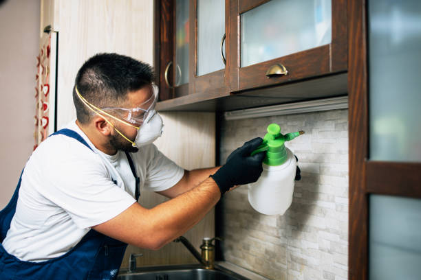 Best Pest Removal Services  in Lake Royale, NC