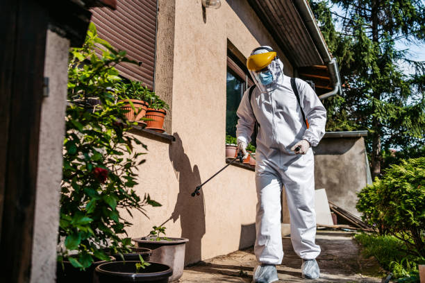 Best Flea Control Services  in Lake Royale, NC