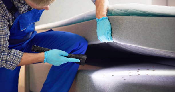Best Local Pest Control Services  in Lake Royale, NC