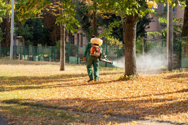 Insect Control in Lake Royale, NC
