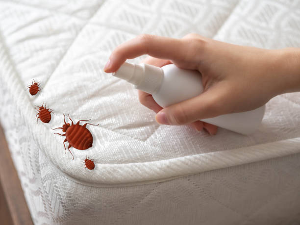 Professional Pest Control in Lake Royale, NC