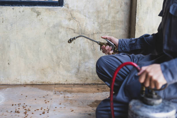 Best Affordable Pest Control Services  in Lake Royale, NC